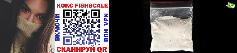 Купить Бирюч COCAIN Fish Scale