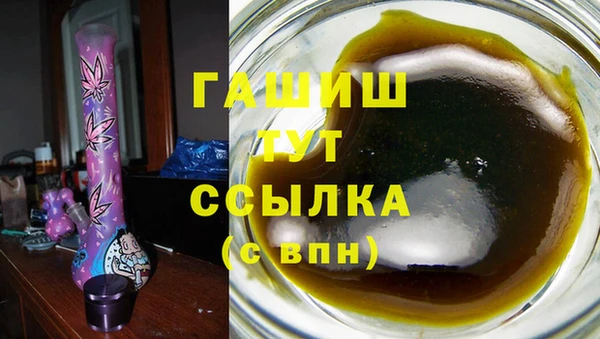 молекула духа Богородицк