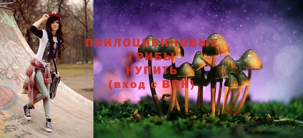 дурь Богородск