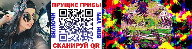 Галлюциногенные грибы Psilocybe  Купить  Бирюч 